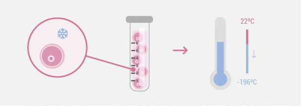 vitrificacion de ovulos