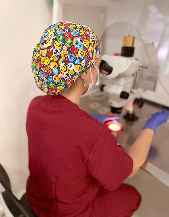 Fecundación In Vitro FIV Punción