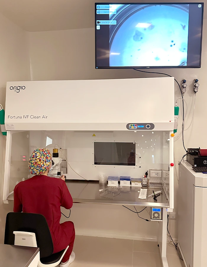 Fecundación In Vitro FIV lab